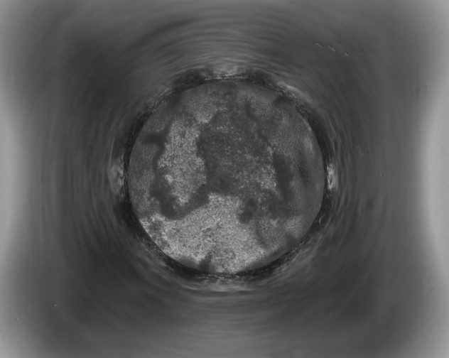 X0000086271011200704122025