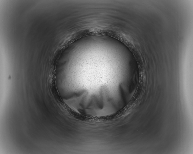 X0000086271012200704122025