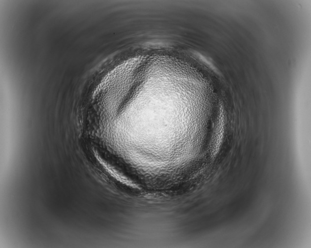 X0000086271015200704122025