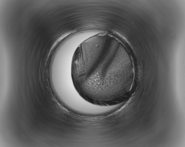 X0000086271018200704122025