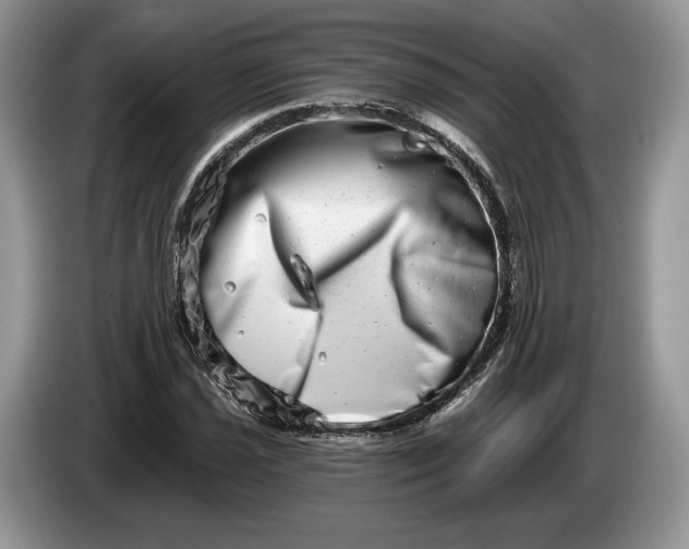 X0000086271021200704122025