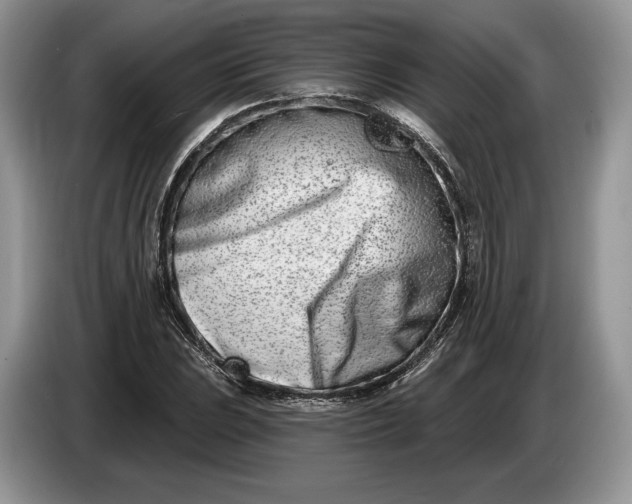 X0000086271023200704122025