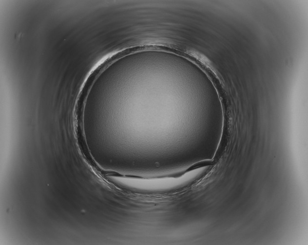 X0000086271024200704122025