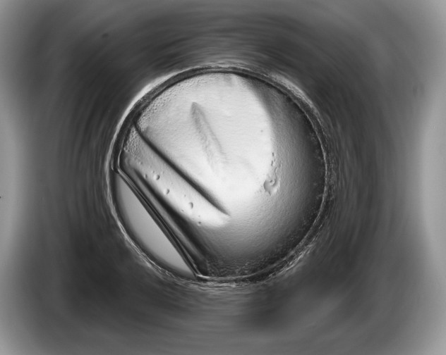 X0000086271032200704122025