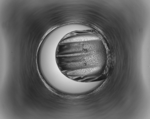 X0000086271034200704122025