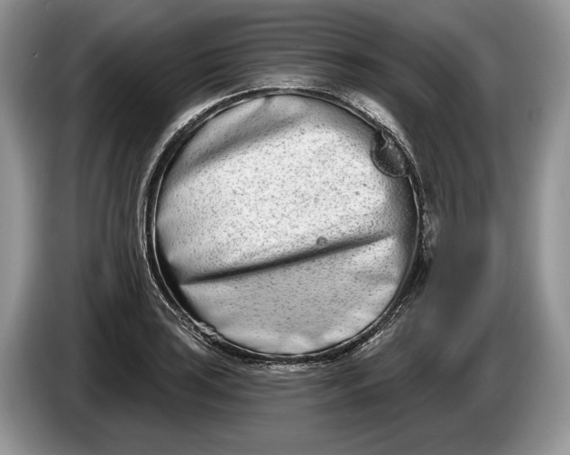 X0000086271035200704122025