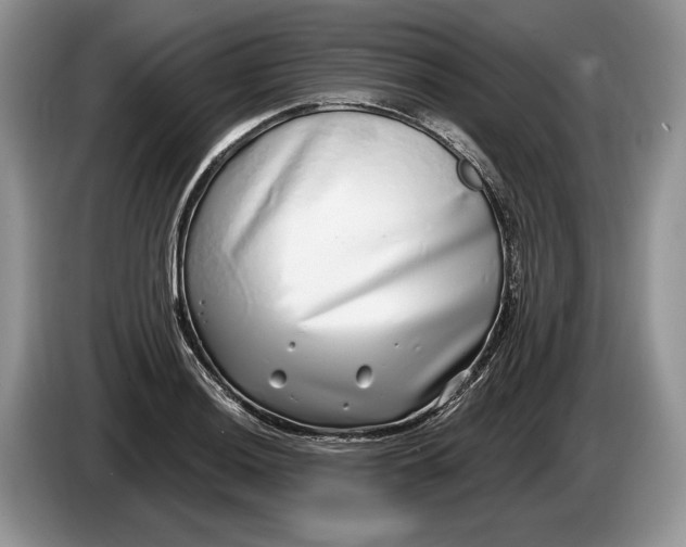 X0000086271036200704122025