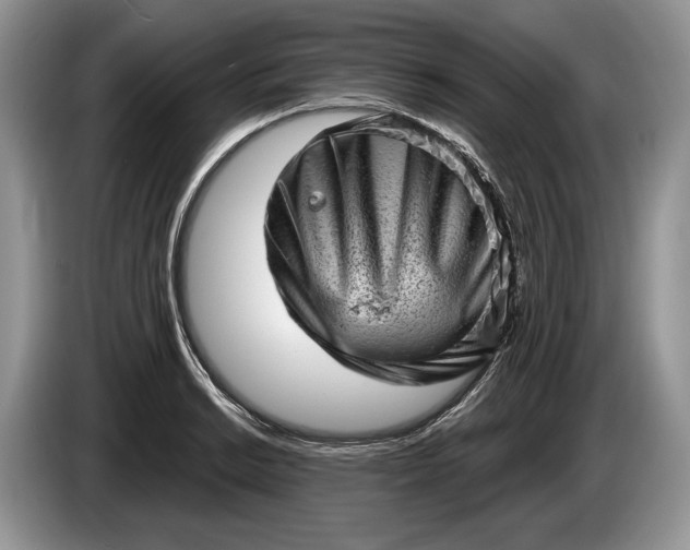 X0000086271038200704122025