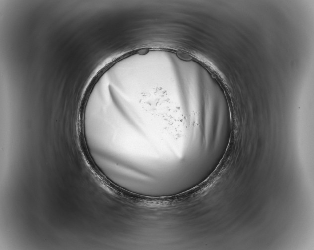 X0000086271040200704122025