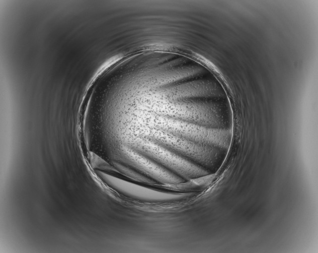 X0000086271042200704122025