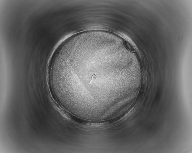 X0000086271043200704122025