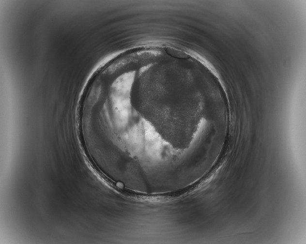 X0000086271045200704122025