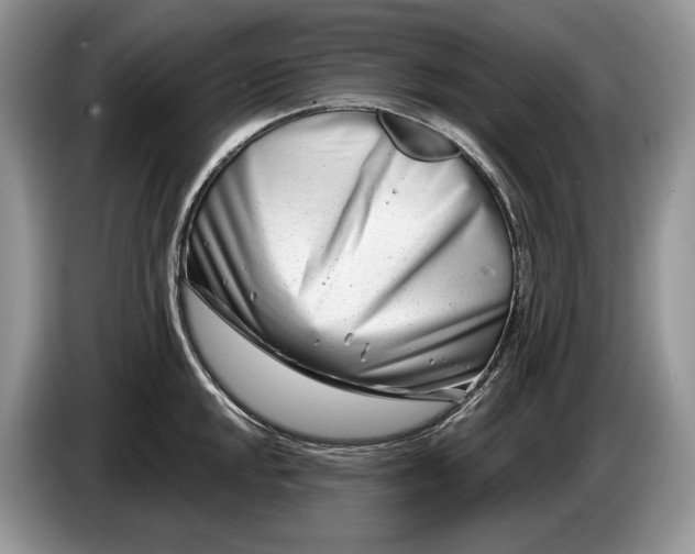 X0000086271048200704122025