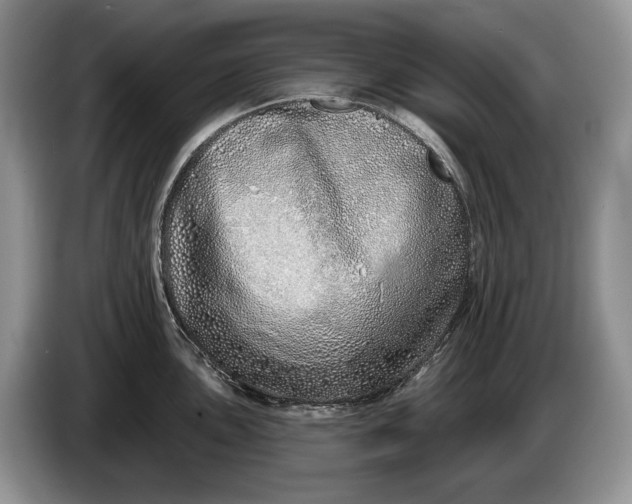 X0000086271051200704122025