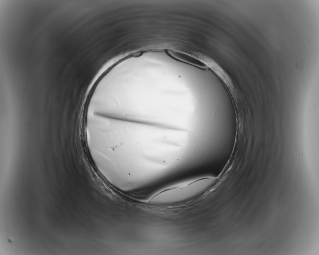 X0000086271052200704122025