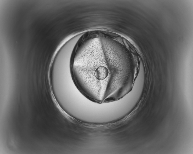 X0000086271054200704122026