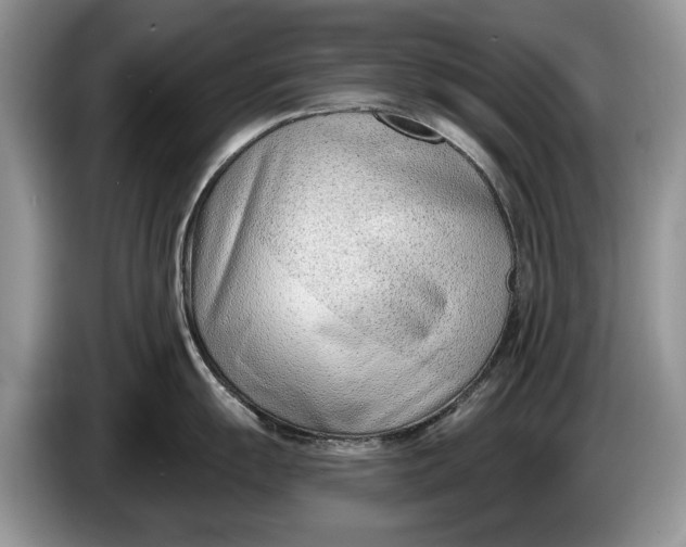 X0000086271055200704122026