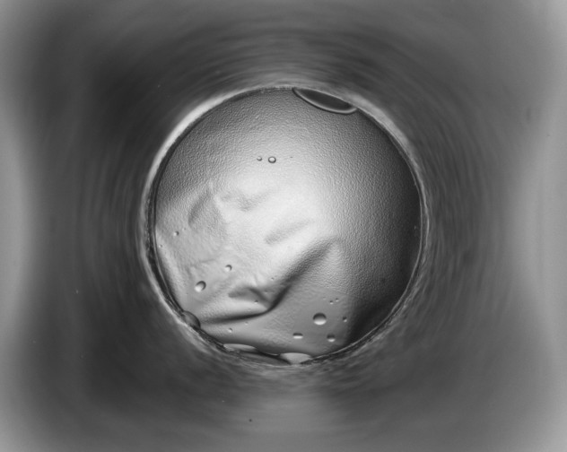 X0000086271056200704122026