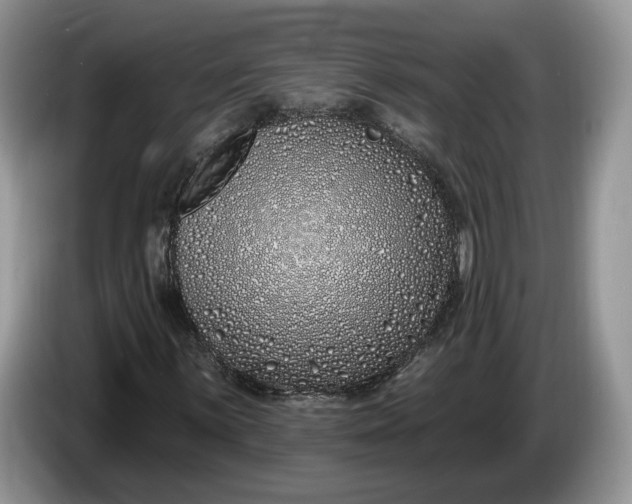 X0000086271059200704122025