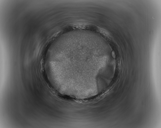 X0000086271060200704122025