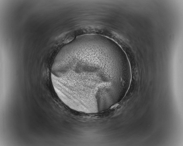 X0000086271061200704122025