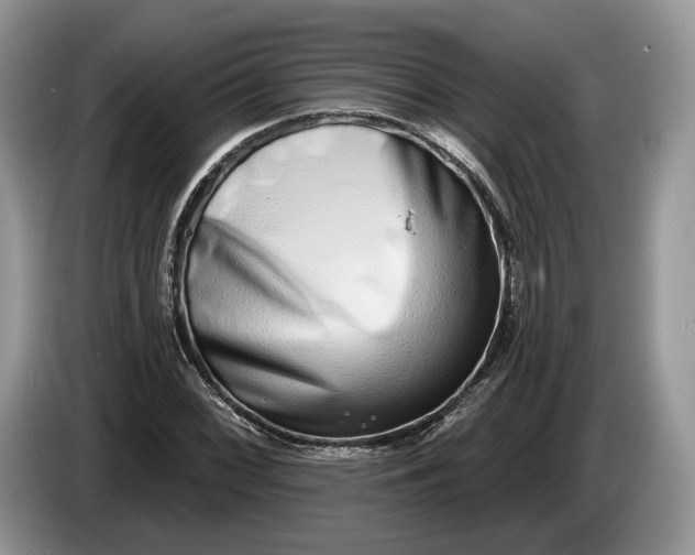 X0000086271068200704122025