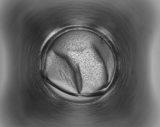 X0000086271069200704122025