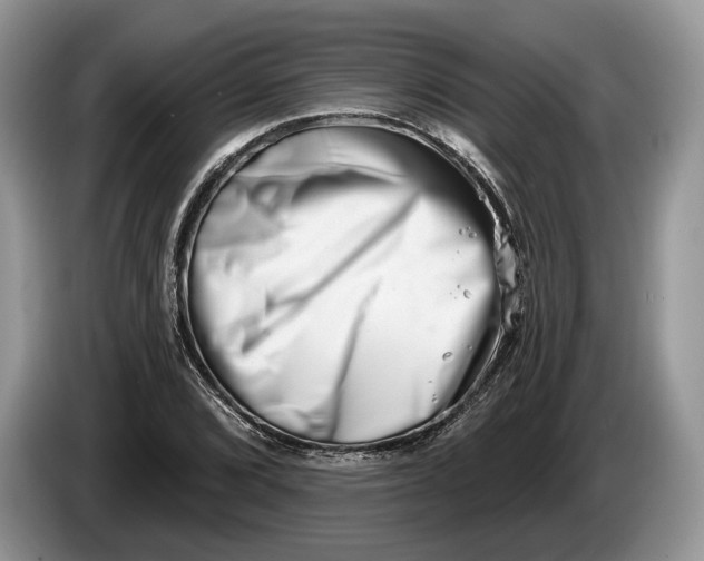 X0000086271072200704122025