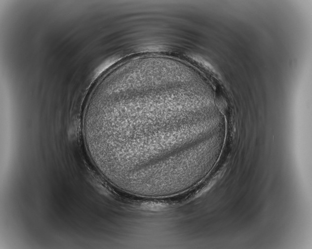 X0000086271073200704122025