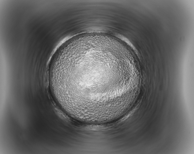 X0000086271075200704122025