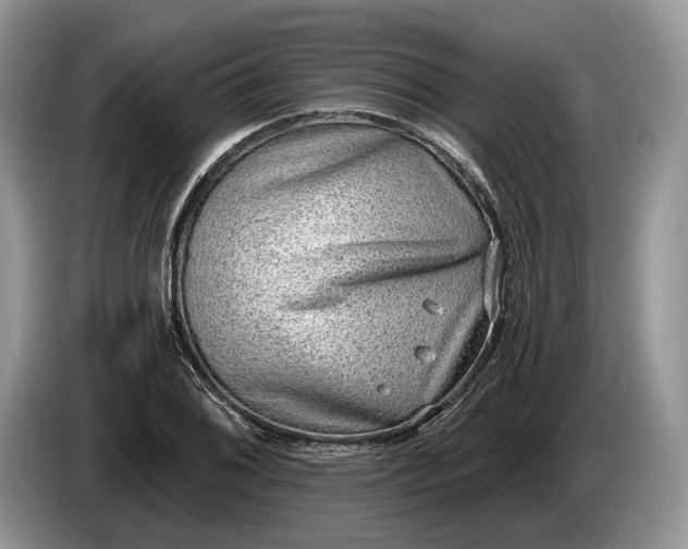 X0000086271076200704122025