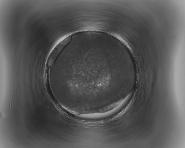 X0000086271077200704122025