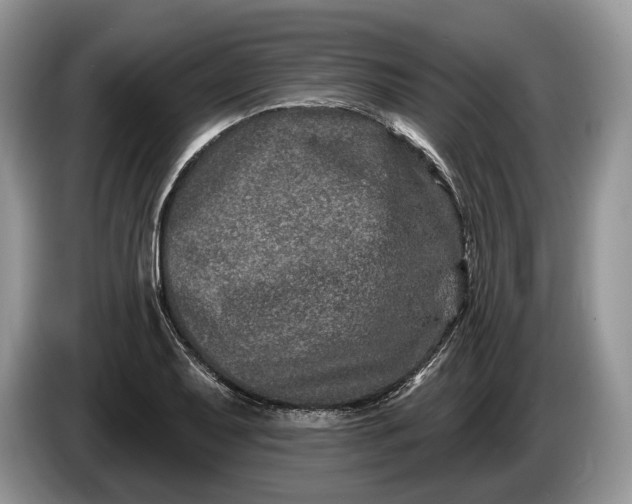 X0000086271079200704122025