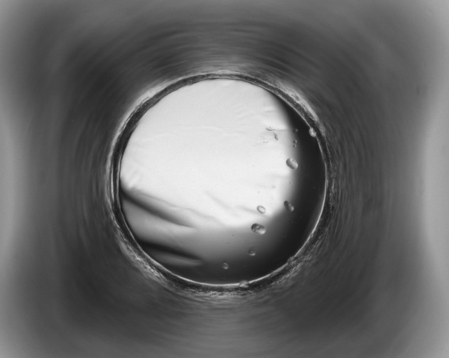 X0000086271080200704122025