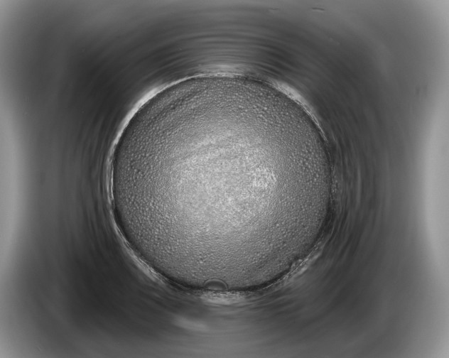 X0000086271083200704122025