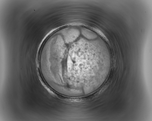 X0000086271084200704122025