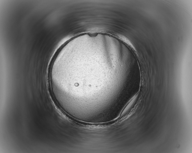 X0000086271087200704122025