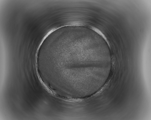 X0000086271091200704122025