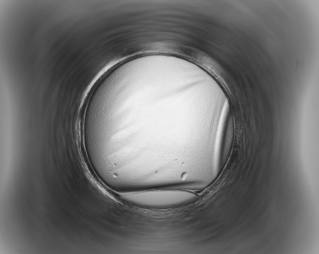 X0000086271092200704122025