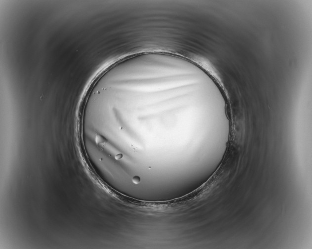 X0000086271096200704122025