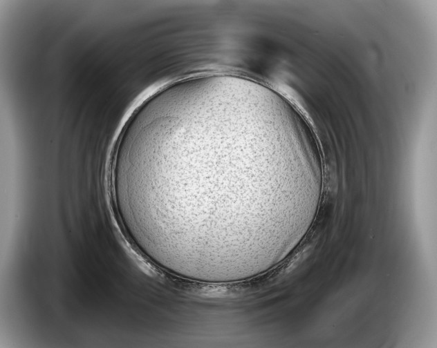 X0000086271098200704122024