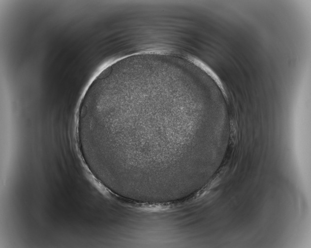 X0000086271099200704122024