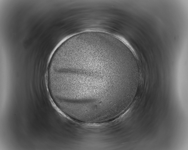 X0000086271100200704122024