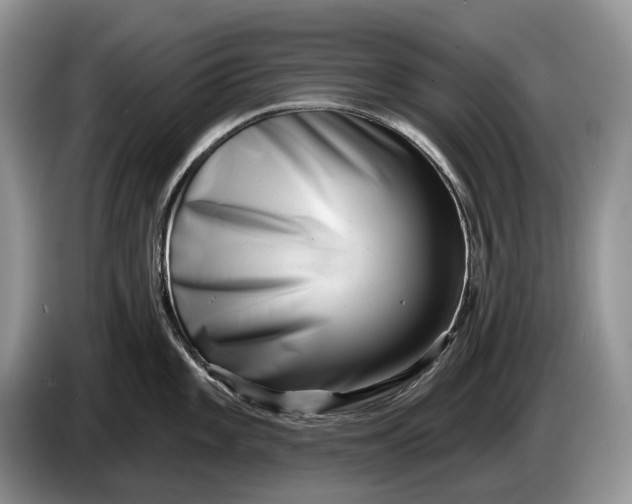 X0000086271101200704122024