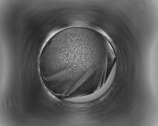 X0000086271102200704122024