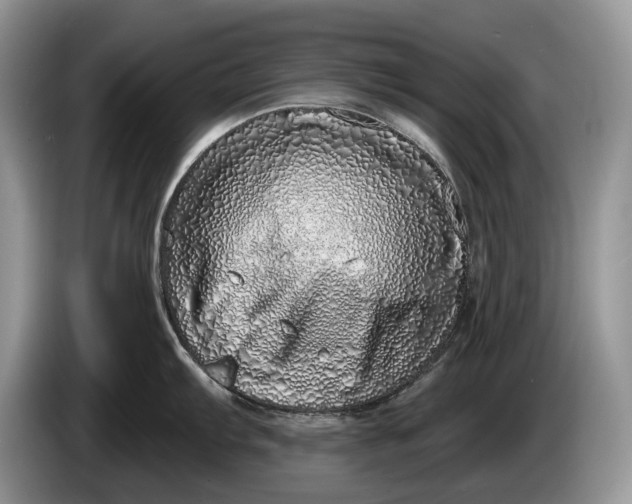 X0000086271103200704122024