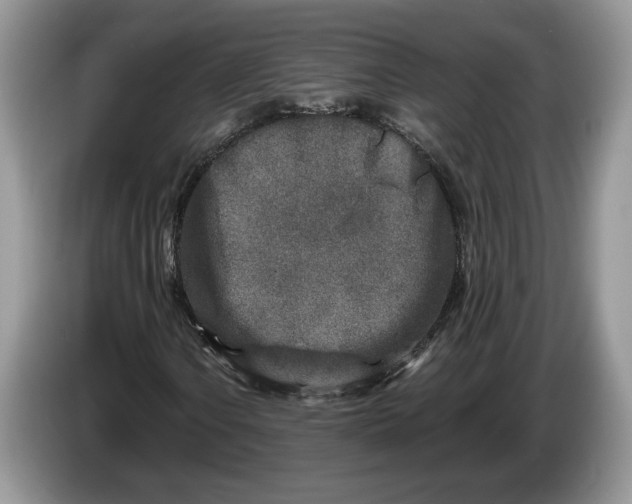 X0000086271106200704122024