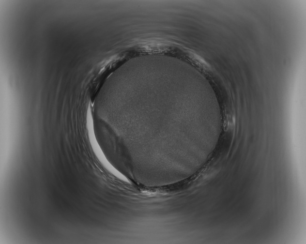 X0000086271108200704122024