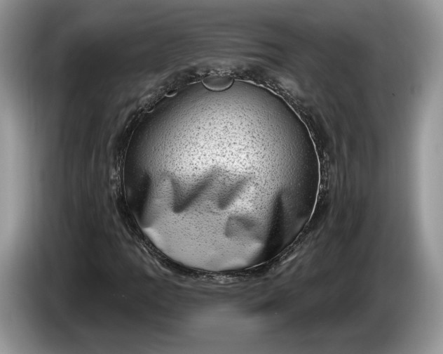 X0000086271109200704122024