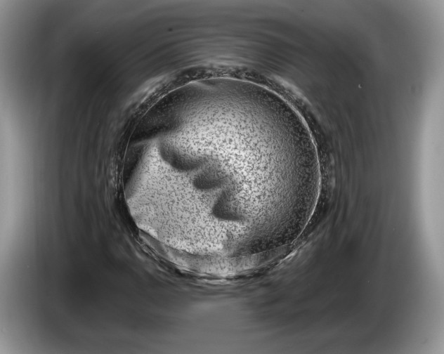 X0000086271110200704122024